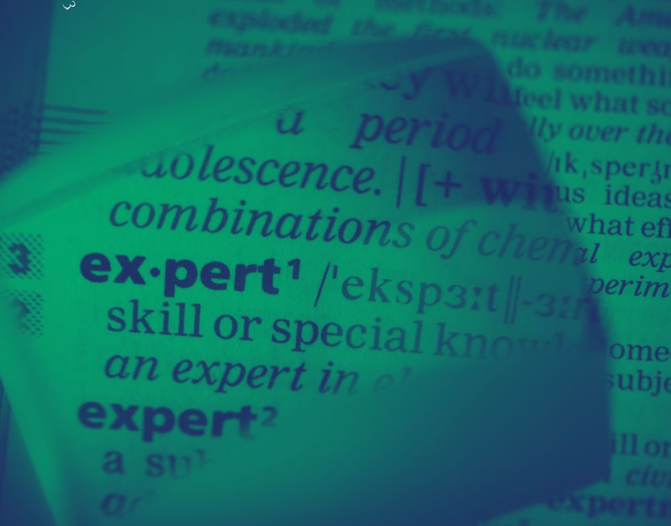 Unsere Expertise in Dynamic Search Ads